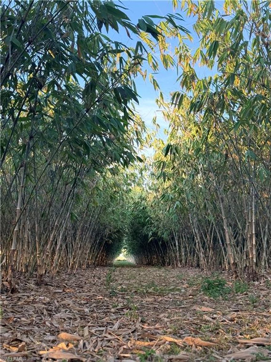 13.34+/- acre bamboo farm and weekend getaway in private, agricultural area. Approximately 5 acres planted with 2,000+/- bamboo plants. The property includes a camper, tiki bar, deck, air conditioned shed (with finished interior), cargo container, and multiple varieties of tropical fruit. This property is zoned Ag-2, which also allows residential use. The canal at the south end of the property is available for irrigation and serves as a natural border to the property. Besides citrus, there are many small farms in the area growing row crops and tropical fruit (lychee, mango, dragon fruit, passion fruit, etc.). Approximately 1 hour from RSW, and 45 minutes from I-75  via SR 29 in Immokalee or SR 80 in Fort Myers. Property is in the Gerber Water District and subject to the Water District tax which is collected by the Hendry County Tax Collector and is used to maintain the roads, canals, and employ security. The roads are private and monitored by a security guard to prevent trespassing.