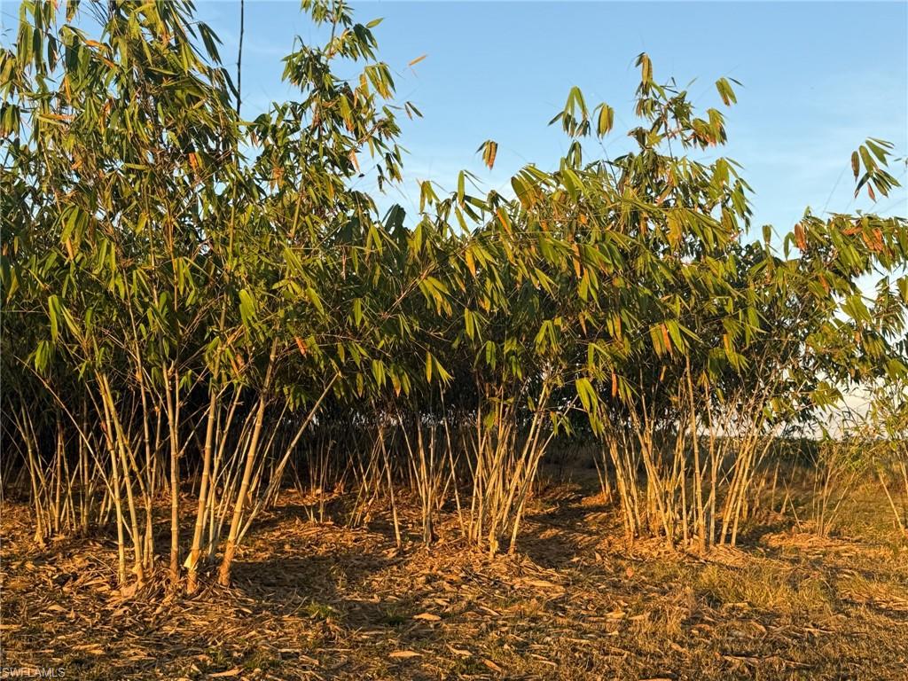 GERBER GROVES SEC 1 - Land