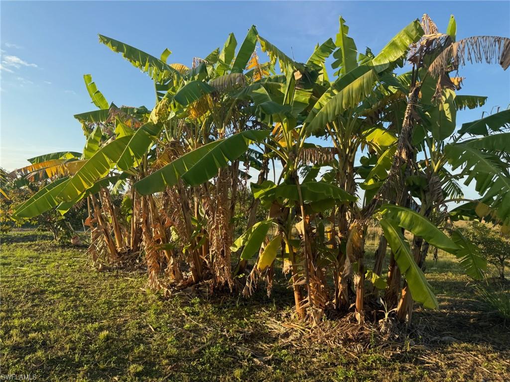 GERBER GROVES SEC 1 - Land