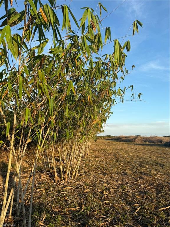 GERBER GROVES SEC 1 - Land