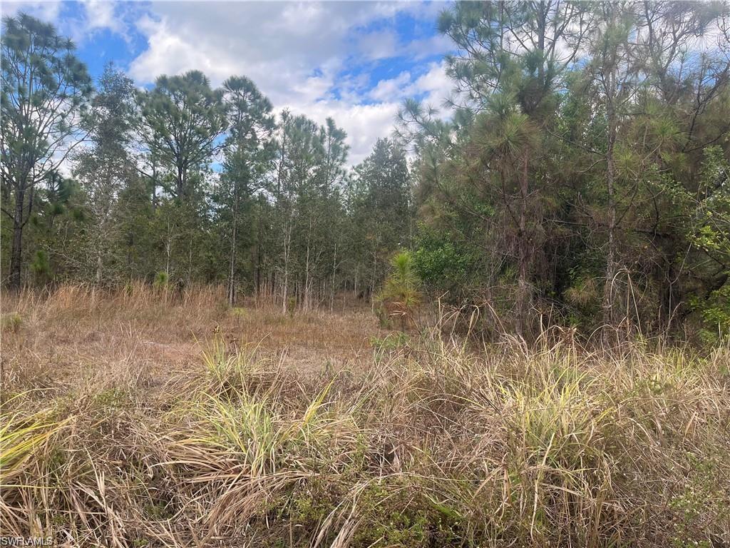 GOLDEN GATE ESTATES - Land