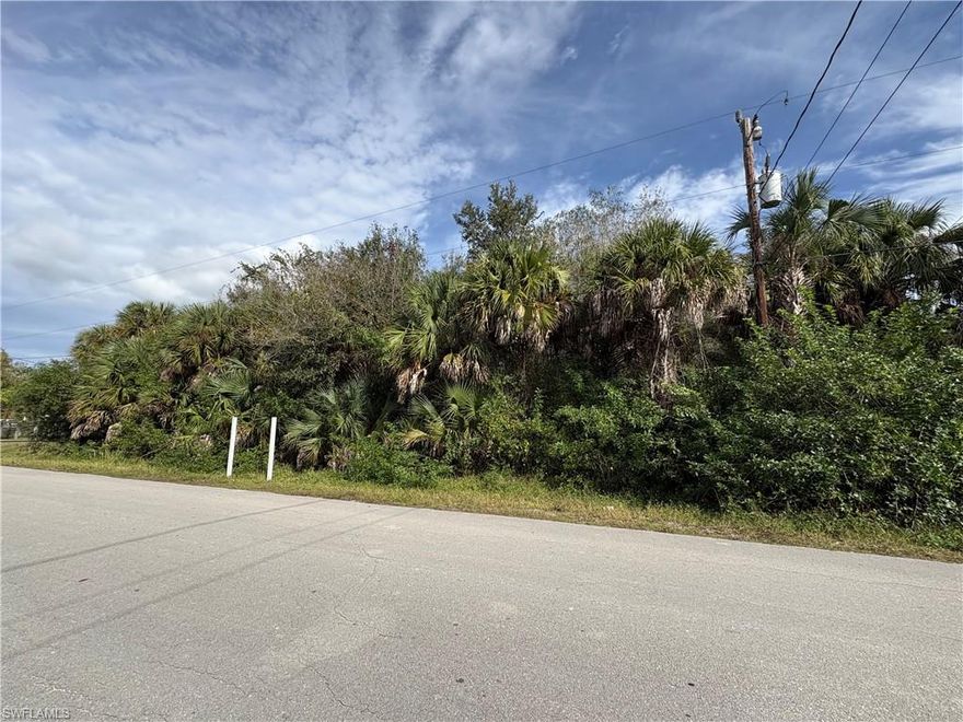 CLOSE IN... GREAT LOCATION OFF 16TH ST NE... 1.64 ACRES... JUST 7 MILES FROM COLLIER BLVD AND 6 MILES FROM IMMOKALEE RD. WITH VANDERBILT EXTENSION OPENING SOON. JUST 2 MILES TO BRAVO, GAS STATION, HARDWARE STORE, WALGREENS & BRAND NEW TRACTOR SUPPLY STORE. 
BUILD YOUR DREAM HOME AND A GUEST HOUSE ON THIS LARGE 105 X 679 LOT.. GORGEOUS LARGE MATURE OAK TREES ON THIS PROPERTY...
MANY NEW HOMES BEING BUILT ON THIS STREET.