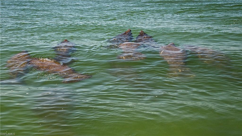 MARCO BEACH - Residential