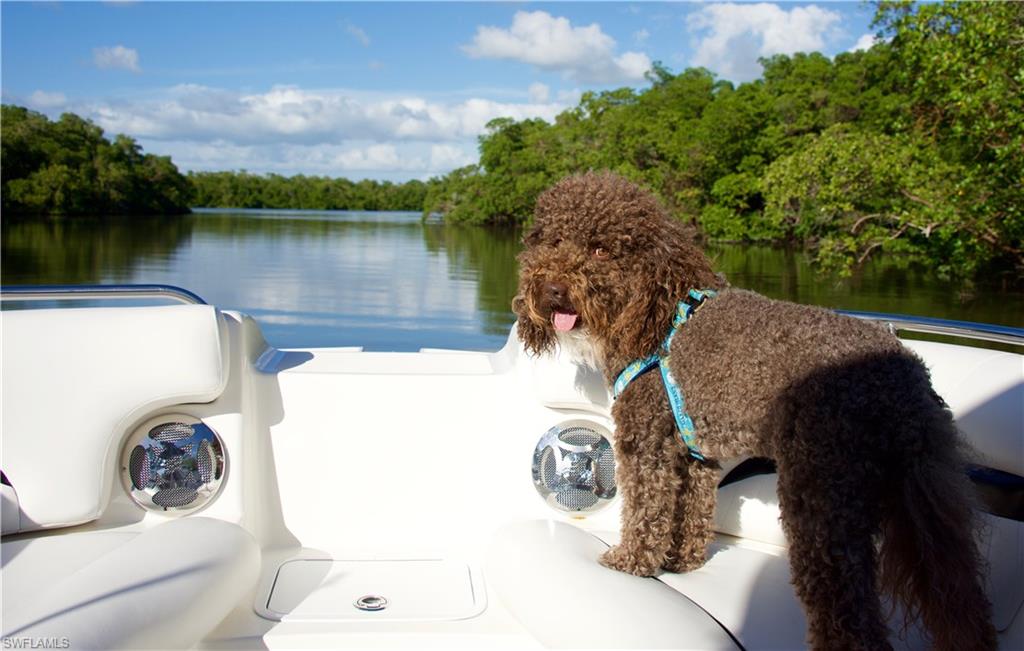 MARCO BEACH - Residential