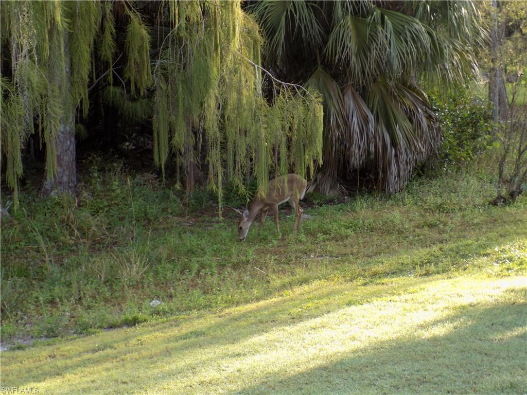 GLEN ABBEY - Residential