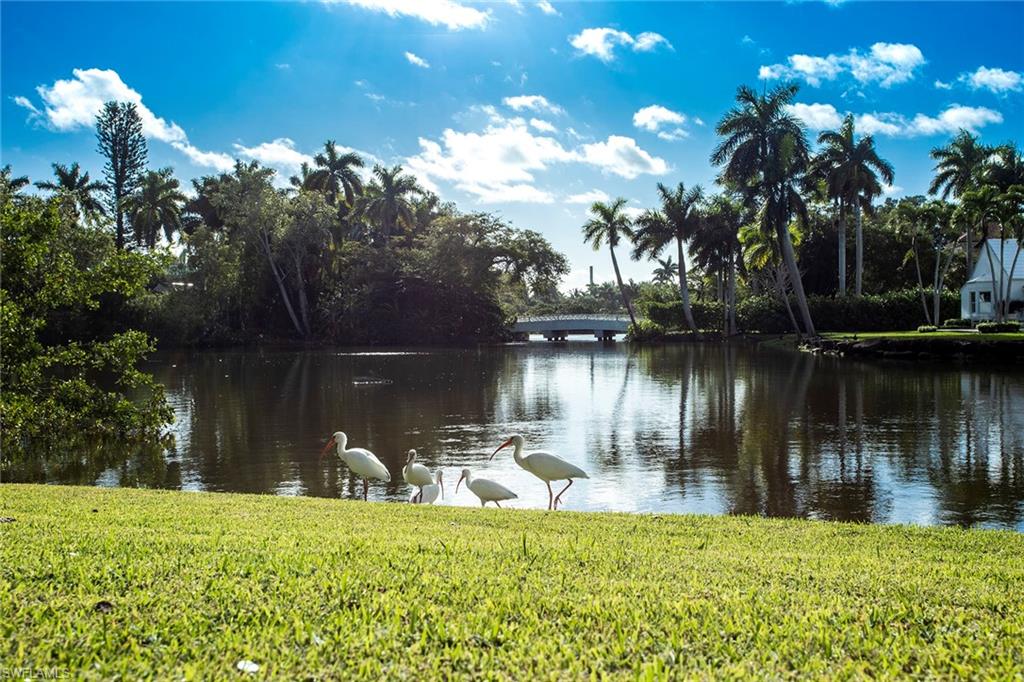 PORT ROYAL - Residential