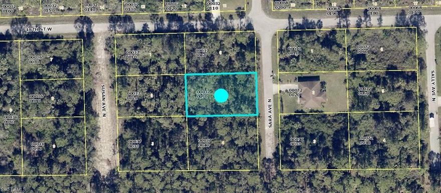 THIS NICE LOT is located on the highly desirable west side of Lehigh Acres, FL. on a quiet PAVED DEAD-END STREET.