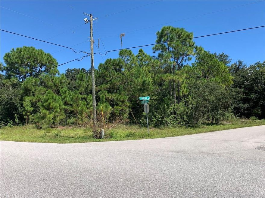Spacious corner lot on paved road near Grassy Lake - electric at road - Neighboring lot 703 Fairfield Ave. (C-22-37-30-190-2410-0120) is also available for sale. (would make total lot size of .61 acres)