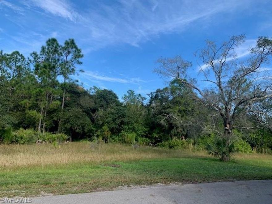 This beautiful single family home community is located in Alva.The acreage is the first lot at the entrance of Oaks of Alva which is a deed restricted community
There are wetlands on the property that cannot be built on but can be enjoyed as part of your property.