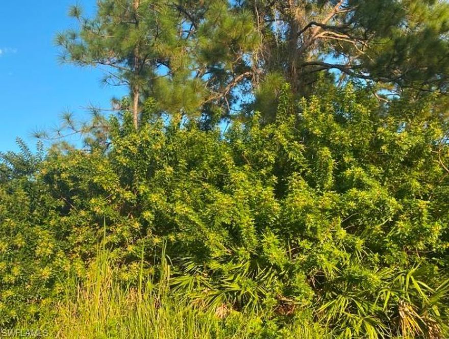 This prime duplex lot is located in rapidly developing area. It's conveniently close to shopping centers, restaurants, schools, Southwest Florida International Airport, and only 25 minutes from Fort Myers Beach. With easy access to State Road 82 and I-75, it’s perfect for a multi-family investment or future development.