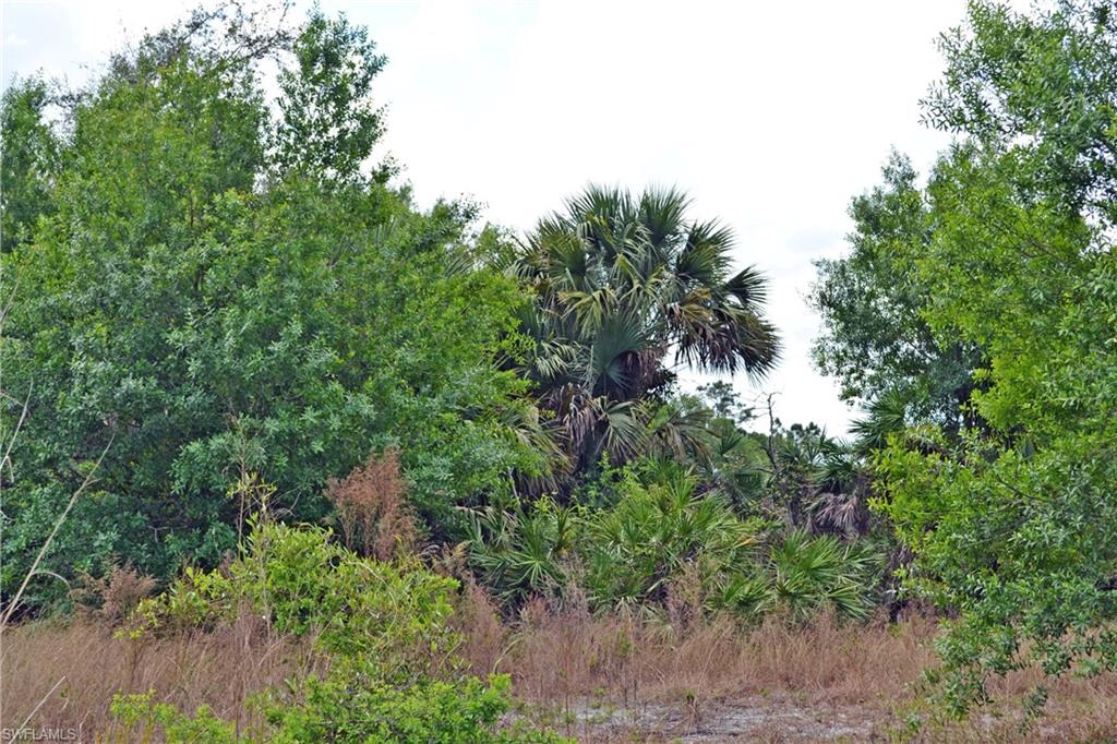 CORKSCREW ISLAND - Land
