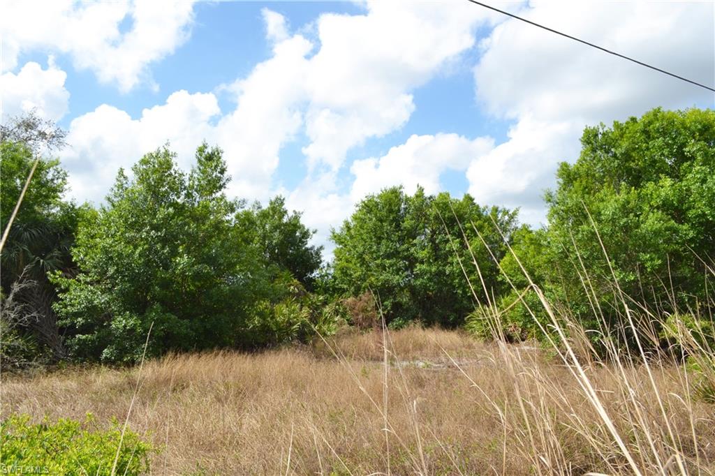 CORKSCREW ISLAND - Land