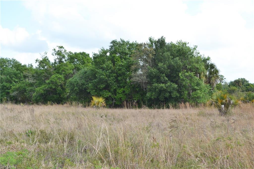 CORKSCREW ISLAND - Land
