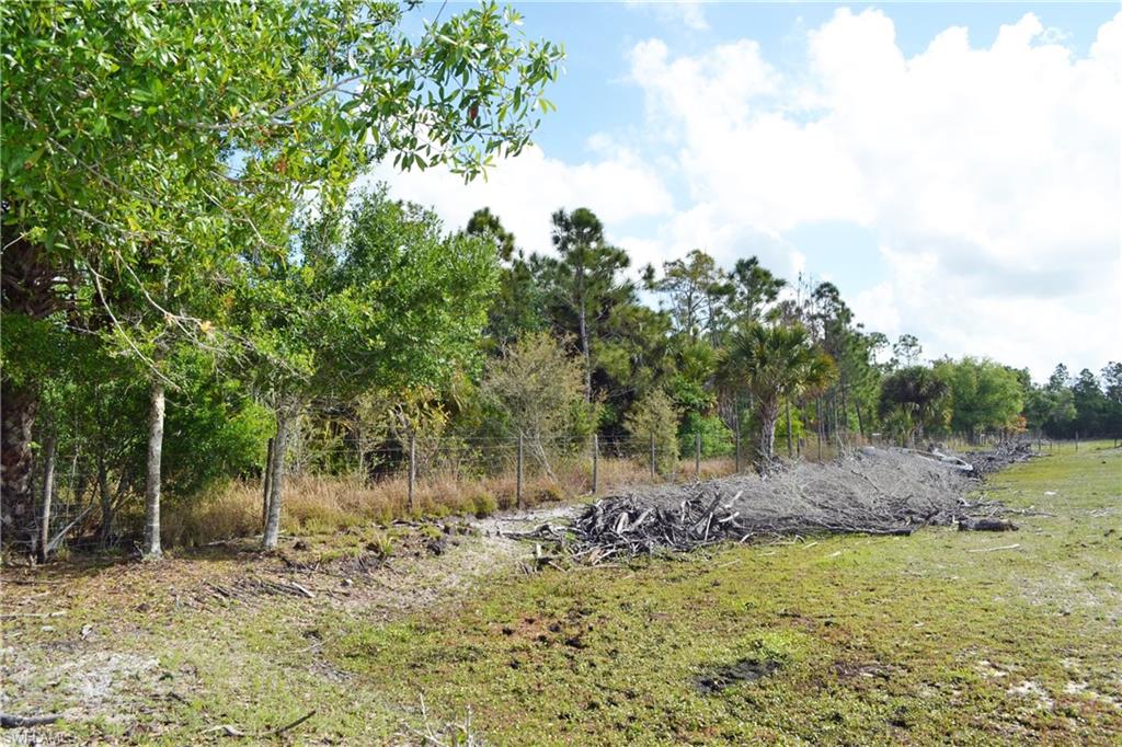 CORKSCREW ISLAND - Land