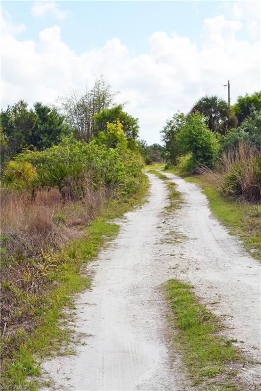 CORKSCREW ISLAND - Land