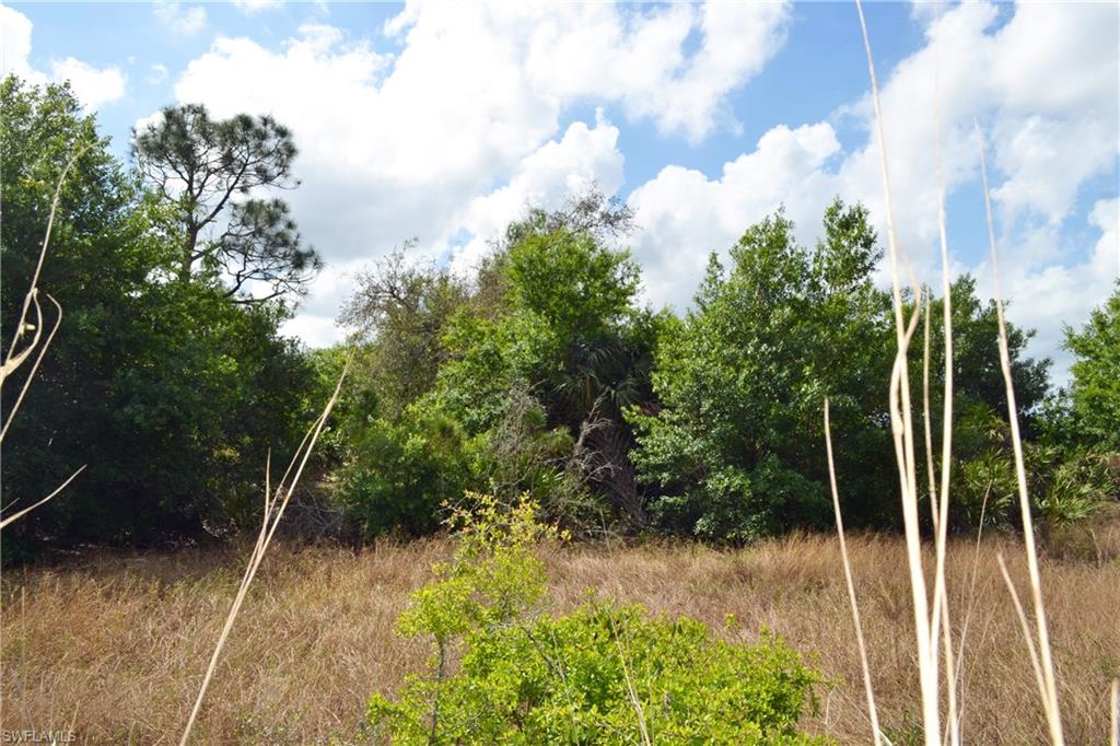 CORKSCREW ISLAND - Land