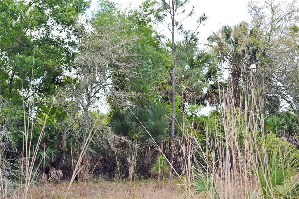 CORKSCREW ISLAND - Land