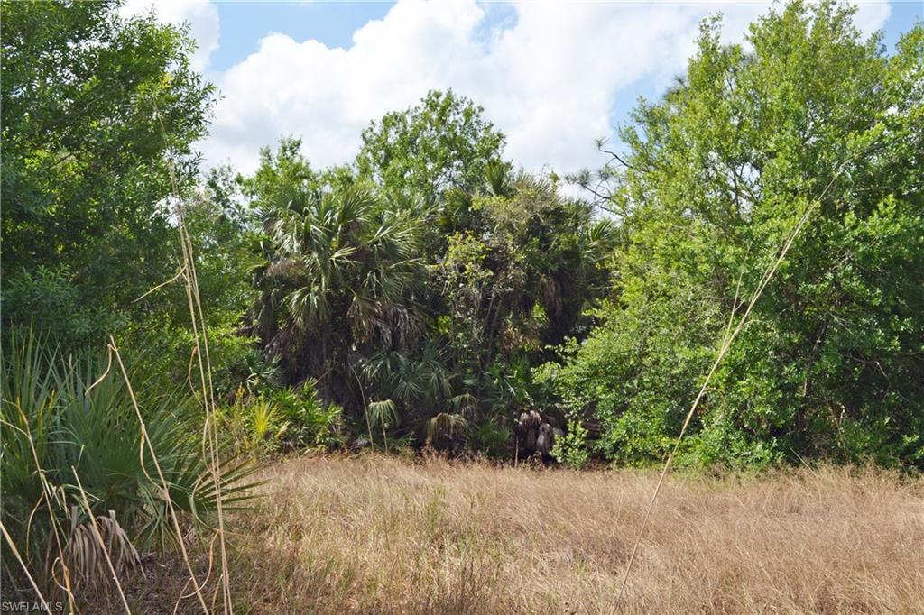 CORKSCREW ISLAND - Land