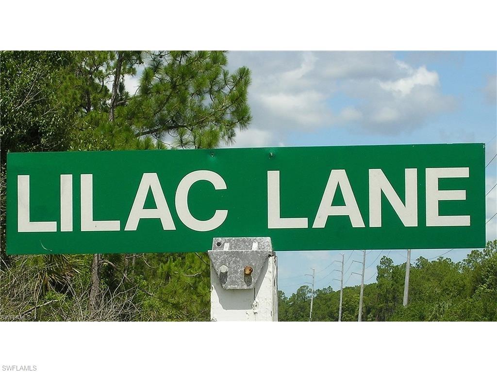 CORKSCREW ISLAND - Land