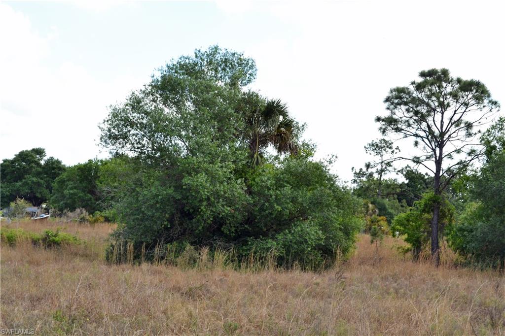 CORKSCREW ISLAND - Land