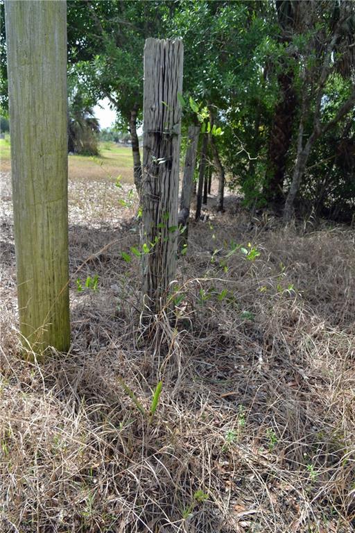 CORKSCREW ISLAND - Land