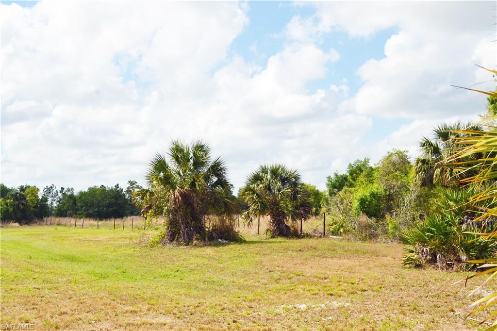 CORKSCREW ISLAND - Land