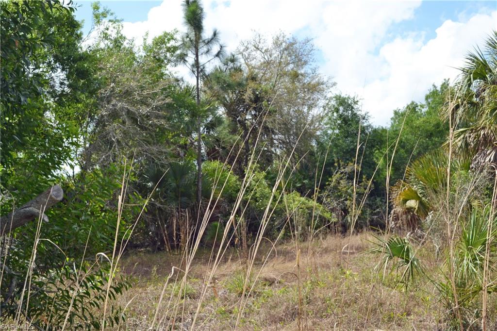 CORKSCREW ISLAND - Land