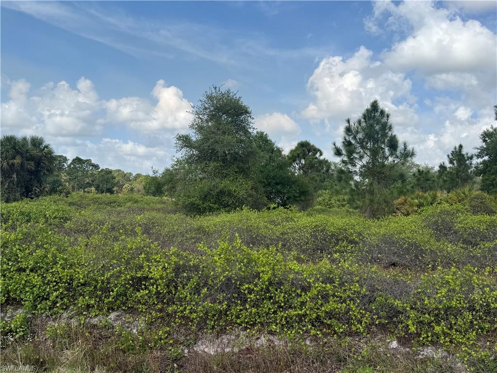 MONTURA RANCH ESTATES - Land