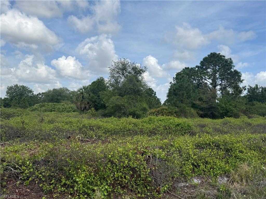 MONTURA RANCH ESTATES - Land