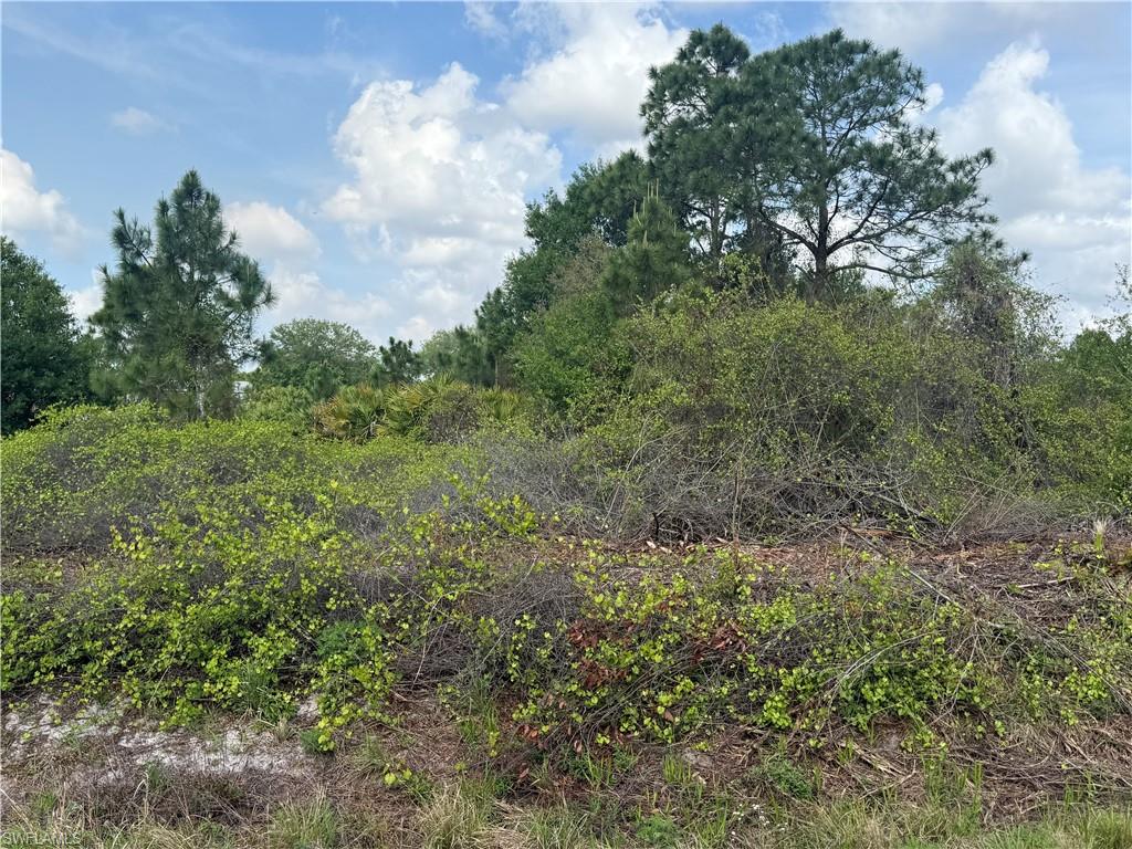 MONTURA RANCH ESTATES - Land