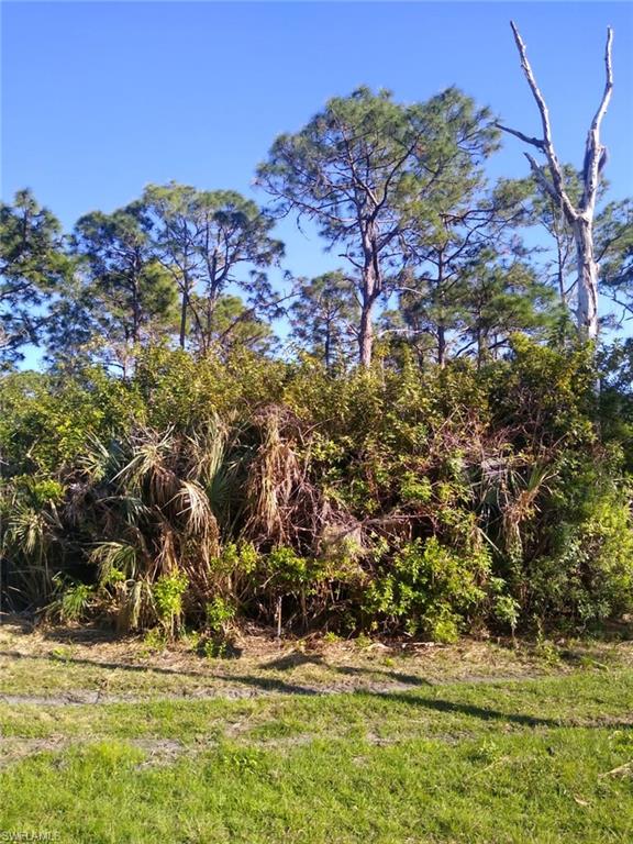 PORT CHARLOTTE - Land