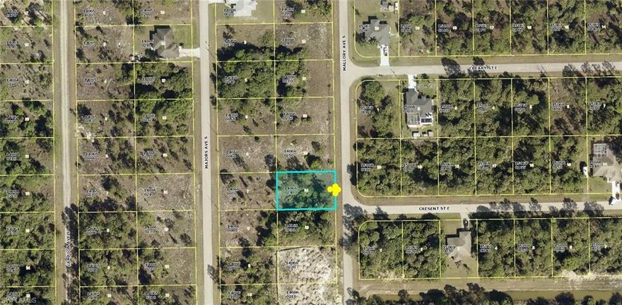Wonderful opportunity to own this exceptional vacant land to build your dream home or buy and hold for investment. This lot is zoned for single family residential use, this property is situated in a highly sought-after area known for its tranquility and natural beauty. No HOA or deed restriction quick and easy access to state road 82. With ample space to bring your vision to life, this lot offers the perfect setting for creating the home you've always envisioned.