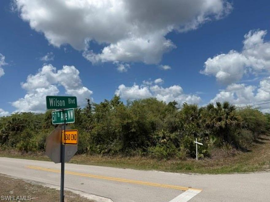 GREAT LOCATION WITH  CANAL ON THE BACK  COULD BE DIVIDED IN TWO LOTS, SOME WETLAND  READY FOR NEW OWNER TO BUILD THE DREAM HOME HE HAS BEEN WAITING FOR  VERY  PEACEFUL AREA AND  WITH LOTS OF PRIVACY .OVER 5 ACRES OF LAND WITH GREAT HOUSES ARAOUND AND EASY ACCESS TO  MAIN ROADS AND  NEW  SHOPPING AREAS.