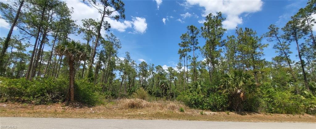 GOLDEN GATE ESTATES - Land