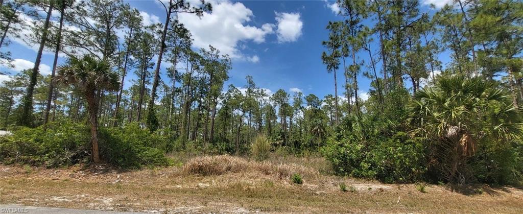 GOLDEN GATE ESTATES - Land