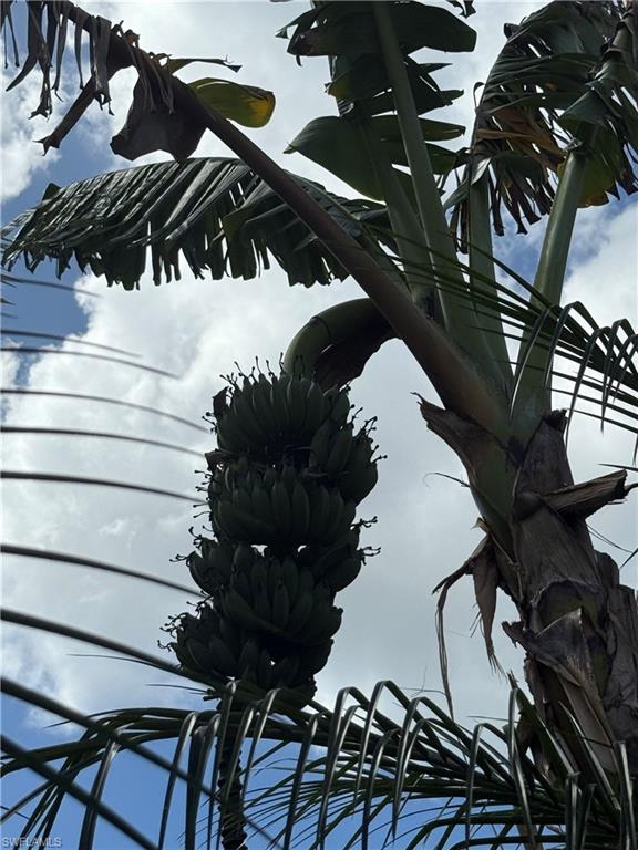 PALM RIVER ESTATES - Residential