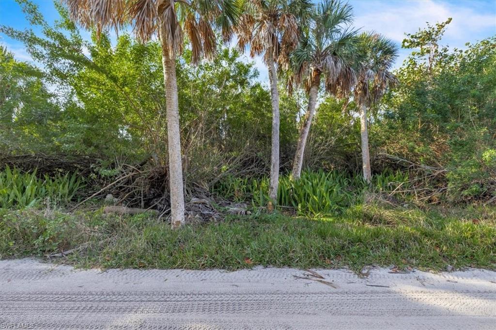 JOSES HIDEAWAY - Land