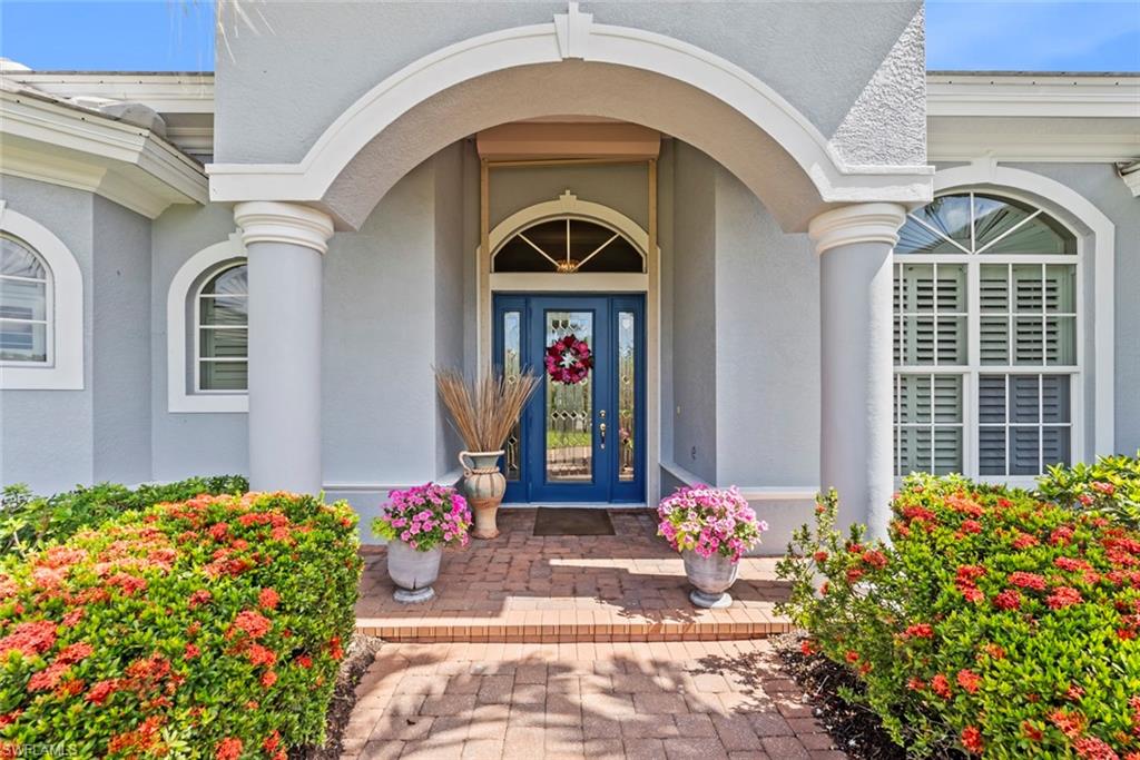 8983 Star Tulip CT