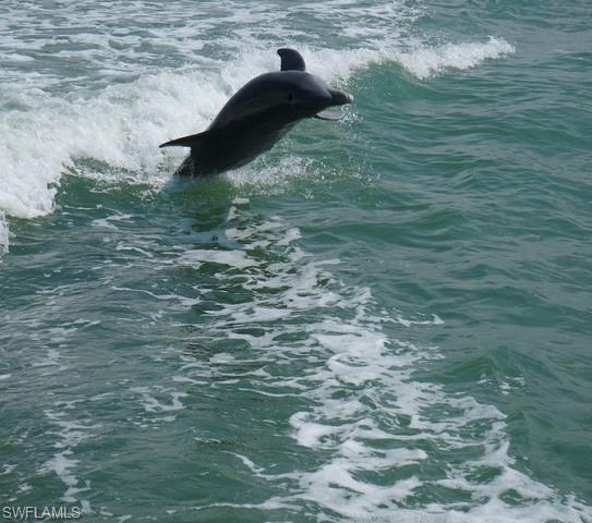 SANTA MARIA II - Residential