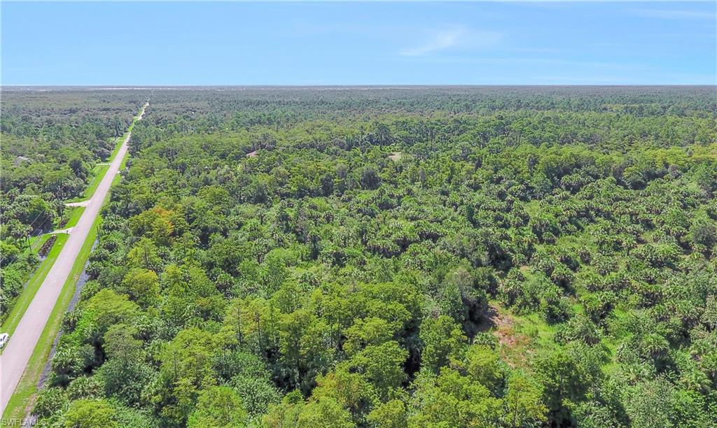 GOLDEN GATE ESTATES - Land