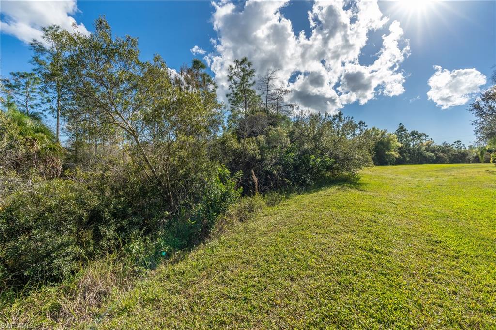 VERONA WALK - Residential