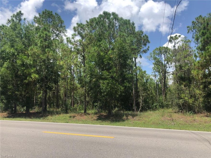 1.64 acres offering plenty of space to build your dream house and more!  Located in one of the fastest growing areas of Naples and only minutes to the new Publix and shopping center.