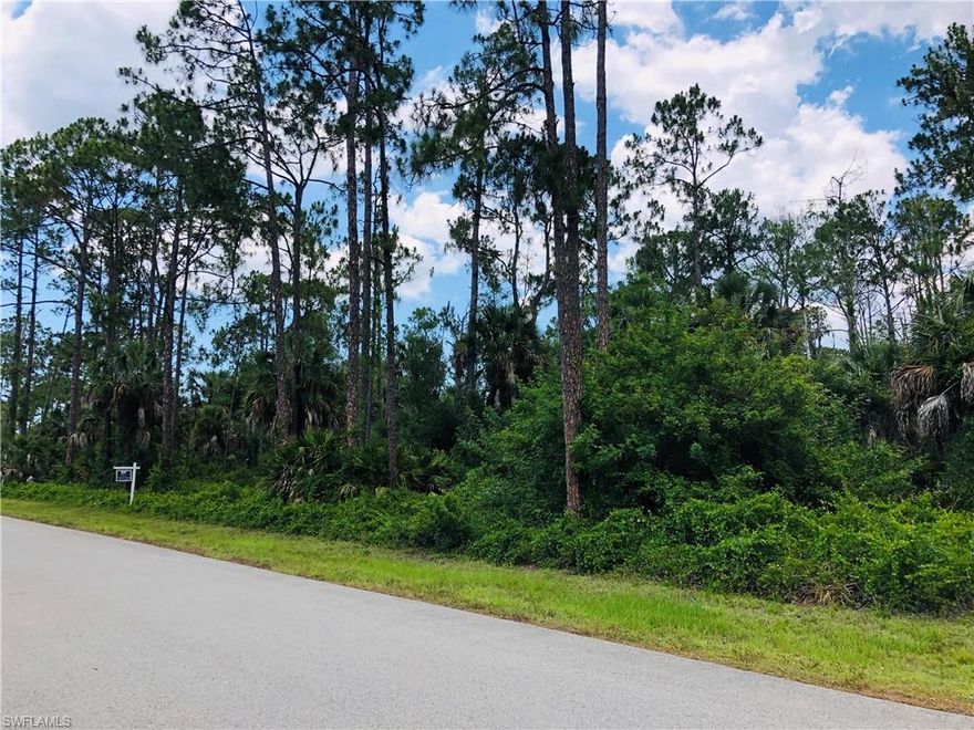 NO DEP Permit Required!!! Are You Ready to Build your Dream Home and Enjoy the Peaceful Country Lifestyle of the Estates? Just Listed this 2.5 Acre piece of land with Beautiful Tall Pine trees and Cabbage palms on a quite paved road. Plenty of room for a guest house, stables, outdoor workshop and so much more. This parcel is Located South of Golden Gate Blvd. and off Everglades Blvd. Local Builder Available to build a New Home on this lot. Minutes to gas station, shopping center, pharmacy, restaurants and schools. Don't Delay!! Take a drive and check out this piece of land.