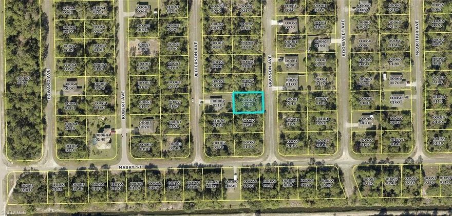 Excellent opportunity in an area with new construction homes being built. Just a short drive to Fort Myers and Punta Gorda airports, two spring training facilities and beaches!