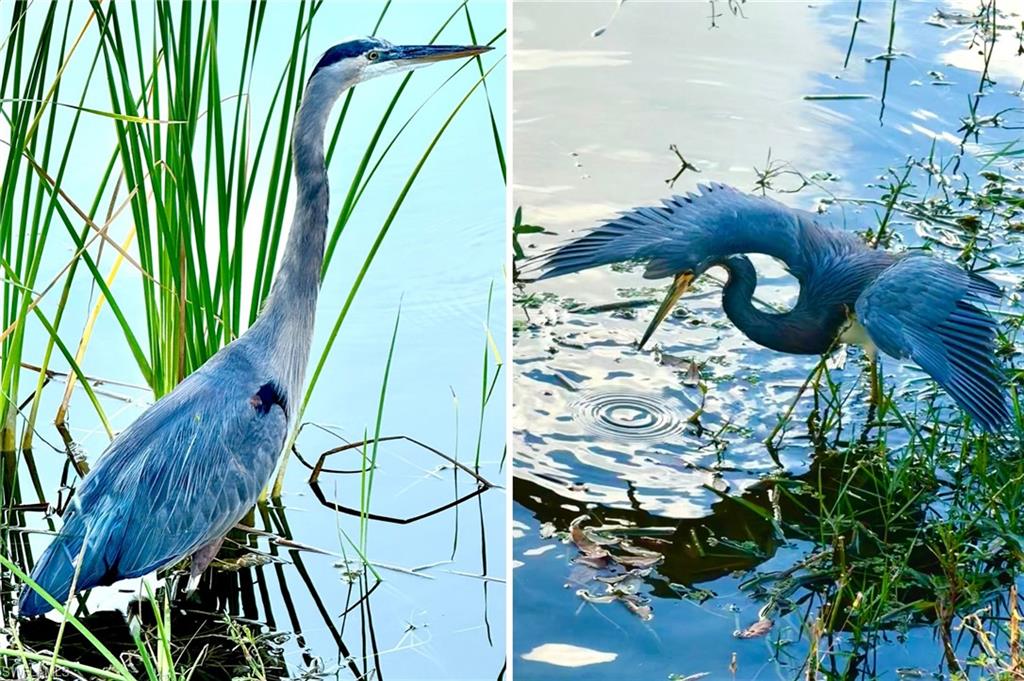 EAGLE RIDGE - Residential