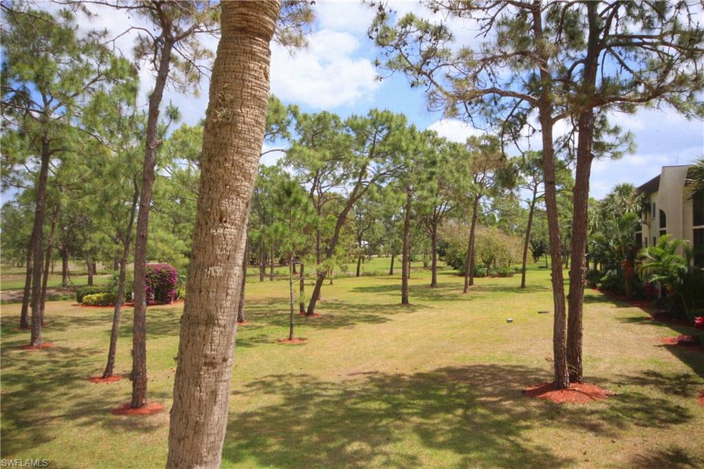 BONITA PINES - Residential