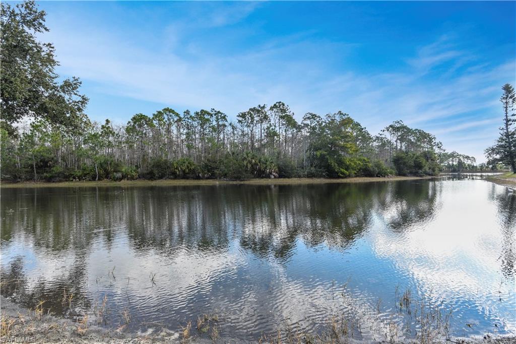 CYPRESS CHASE - Residential