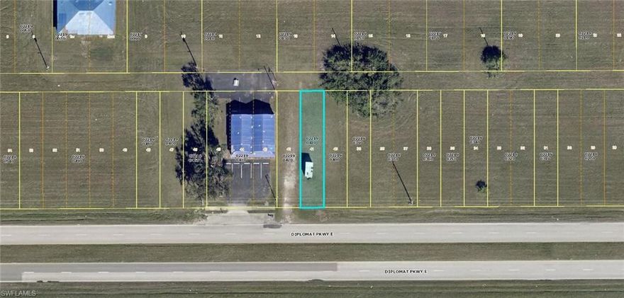 Fantastic opportunity to invest in this 25 X 125 parcel, 3,125 sq ft of PRIME COMMERCIAL frontage on Diplomat Parkway! This lot is not large enough to build on unless adding abutting properties. Not located in a FLOOD zone. Please verify with the City of Cape Coral regarding water, sewer etc. SO much projected growth in the NW Cape area this is a great opportunity to invest now for future or build your dream business.