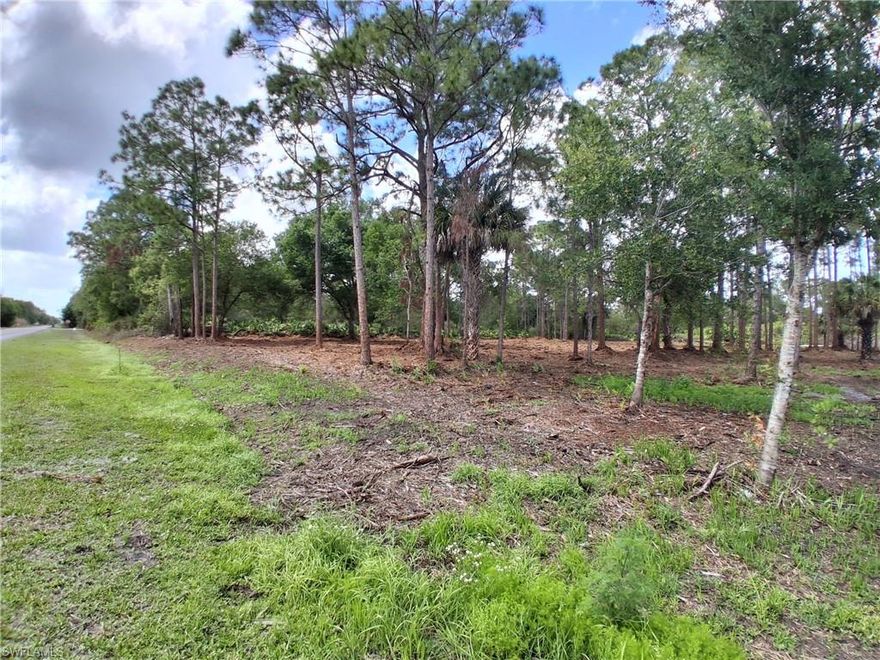 This 1.25-acre parcel located in Southern Montura Ranches, an up-and-coming rural horse and golf-cart friendly community is available. Sitting off paved road Appaloosa Ave, this parcel has been cleared of underbrush with a few pines left for shade and preference. Modular, Site-Built and Single or Double-Wide Homes are allowed in this community. This Community offers residents free of charge access to the Community Pool and Clubhouse. Horses Ok. Pay no city taxes. Will need septic and well. Only 25 min from downtown Clewiston, 1.5 hr from each coast.. take advantage today.