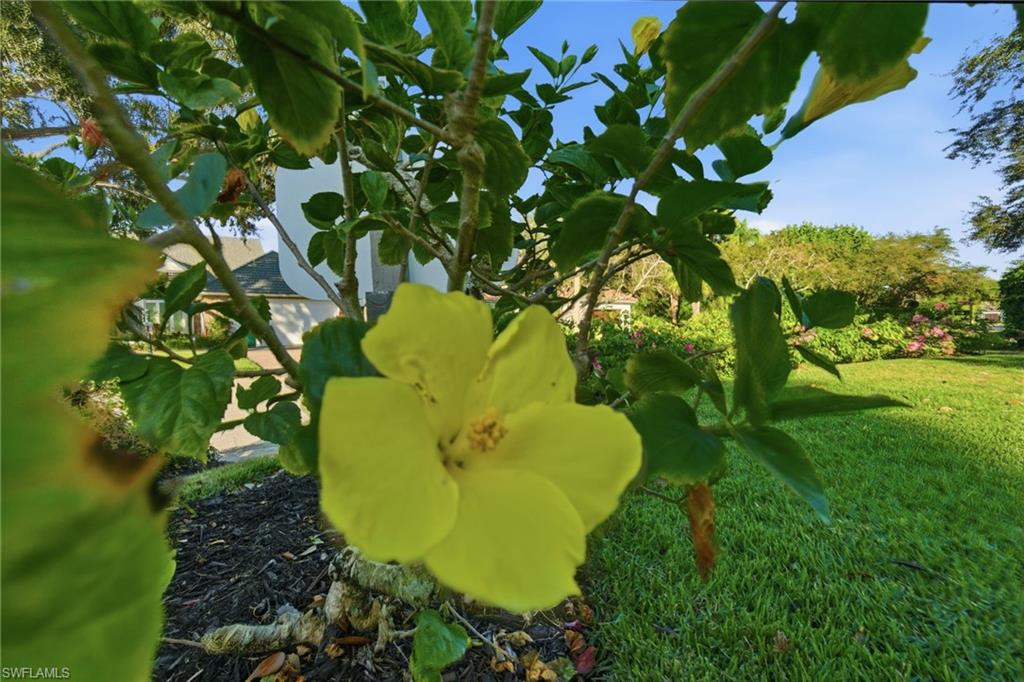 OAKMONT - Residential